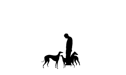 greyhound clinic
